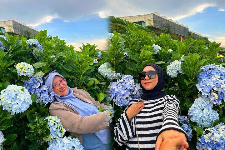 Da Lat Flower City Excursão de 2 dias e 1 noite saindo de Ho Chi Minh