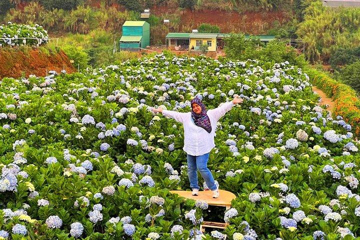 Da Lat Flower City Excursão de 2 dias e 1 noite saindo de Ho Chi Minh