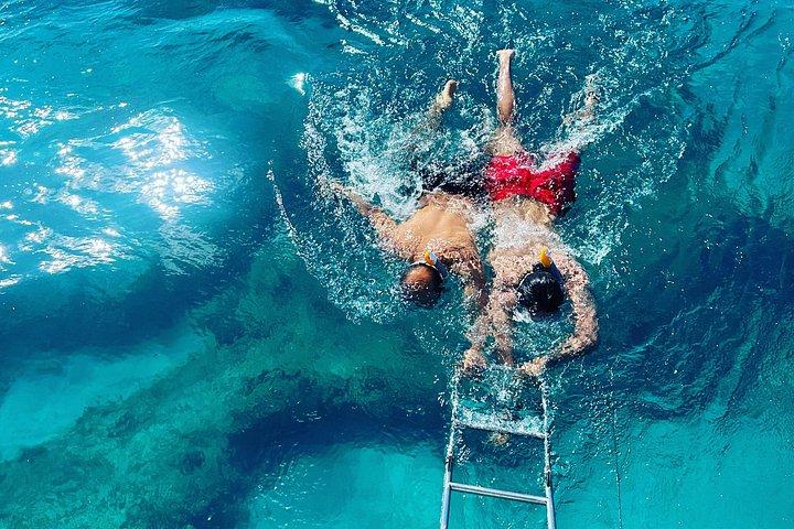 Waikiki lille gruppe skildpadde snorkling og sejlads