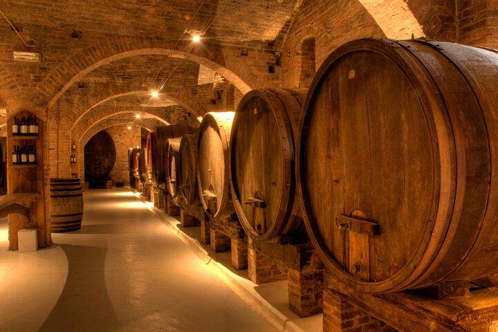 Excursion d'une demi-journée sur la route des vins au Cap