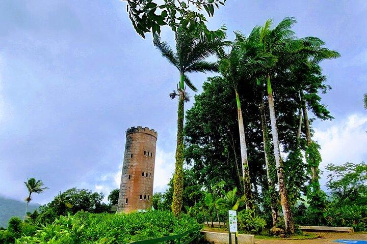 Puerto Rico: recorrido turístico de medio día por El Yunque con traslado