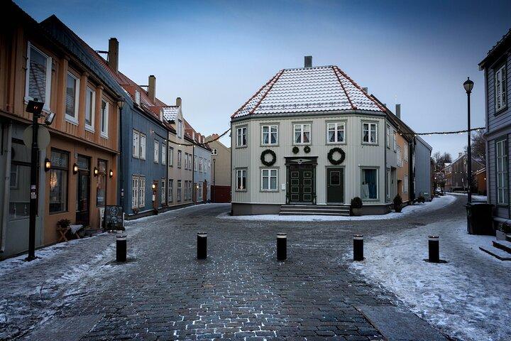 2 timmars stadsvandring genom Trondheim