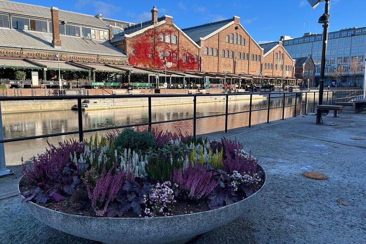 2 timmars stadsvandring genom Trondheim