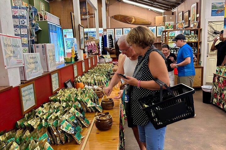 Best of Oahu Full-Day Small-Group Island Tour