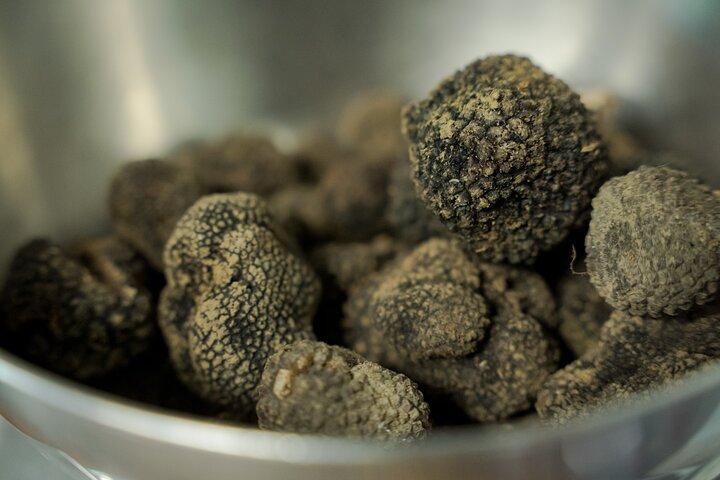 Truffeljacht + gastronomische proeverij (inclusief transfer)