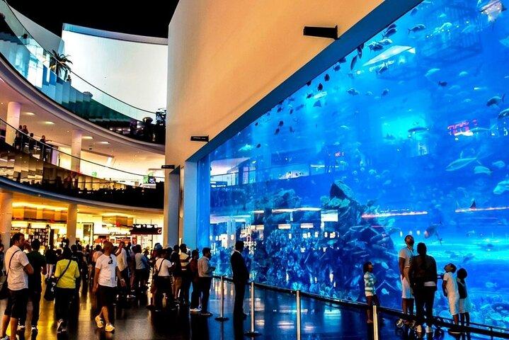 アブダビ発、ランチ付きプライベート ドバイ シティ ツアー 1 日