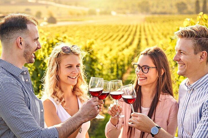 ペロポネソス時代の歓喜: Nemea Wines & Nafplio's Beauty