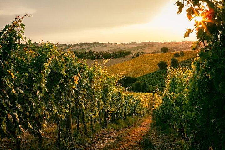 ペロポネソス時代の歓喜: Nemea Wines & Nafplio's Beauty