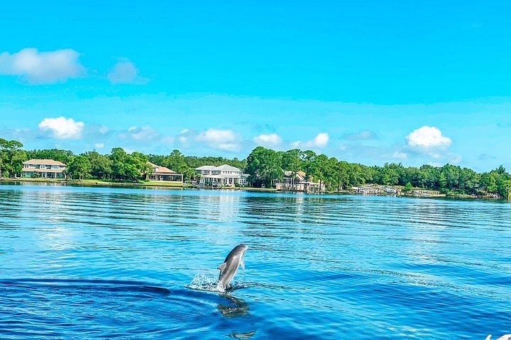 Tour guiado de 2 horas en Florida