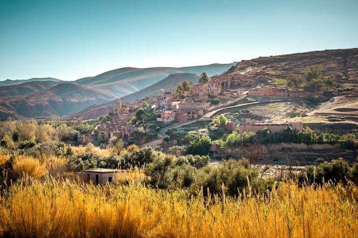 From Marrakech: Atlas Mountains & Berber Villages Tour with Tea