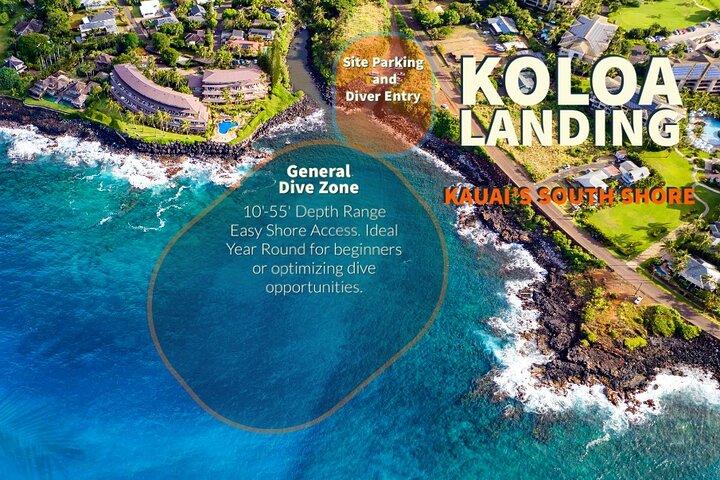 1 tanque Descubra el buceo en Koloa Landing sin necesidad de experiencia