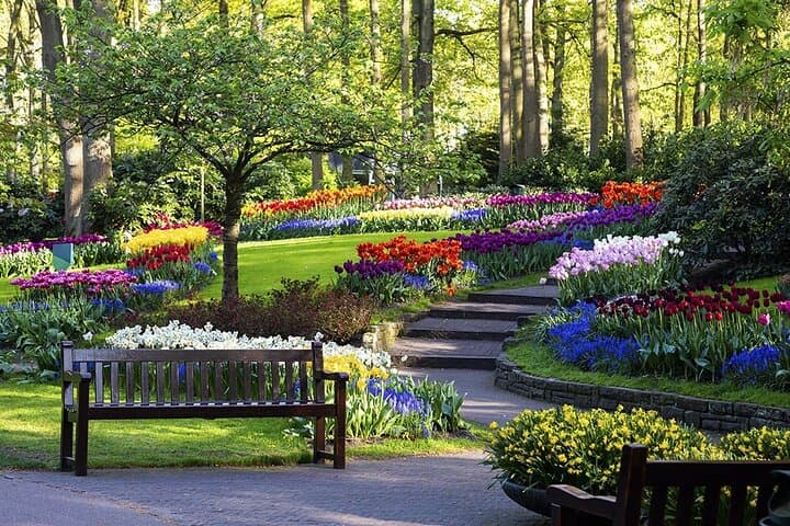 Exclusive Private Keukenhof and Tulip Fields Tour