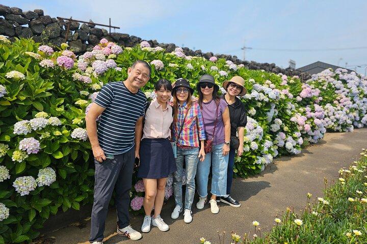 Visite en petit groupe COMPLET - FORFAIT Visite dans toutes les régions de l'île de Jeju
