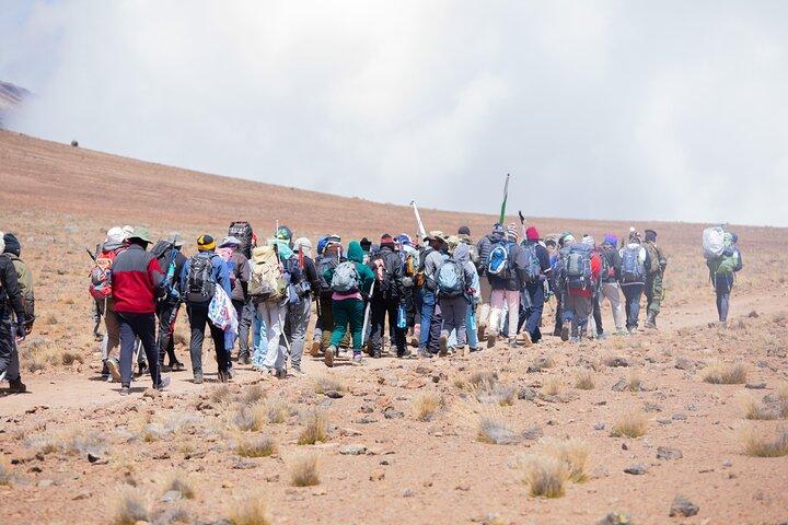 Rejser til Kilimanjaro - Marangu
