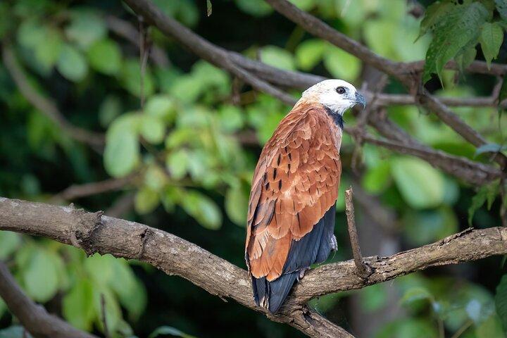 Amazon Explore 4D/3N-En Amazon Tapiri Lodge Flotante