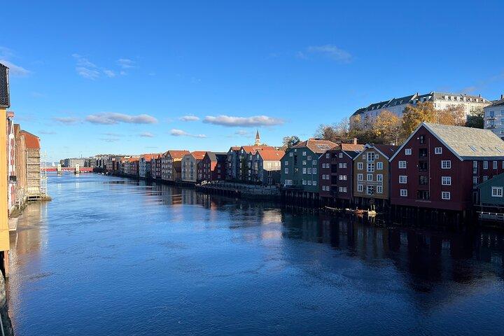 Halvdagshöjdpunkter i Trondheim med buss och stadsvandring