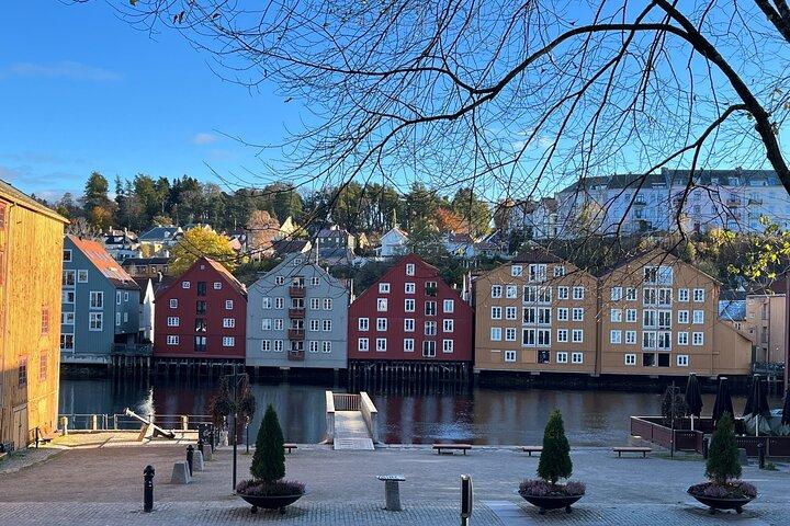 Halvdagshöjdpunkter i Trondheim med buss och stadsvandring