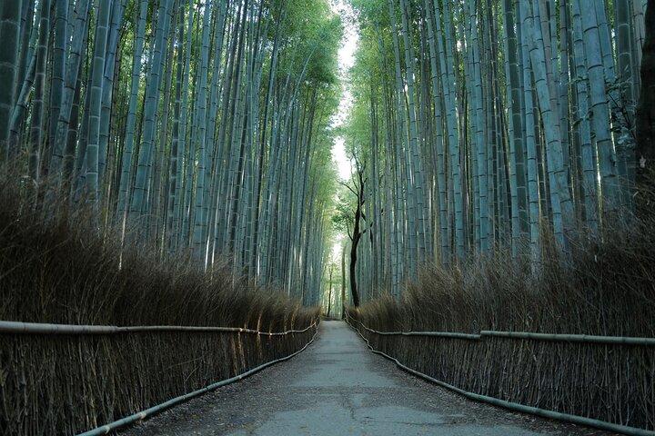 Visite matinale de Kyoto avec un guide anglophone