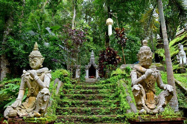 Chiang Mai Temple Tour: Opdag skjulte perler med lokal guide