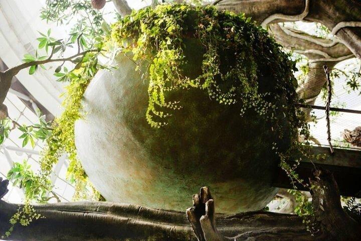 Dubaï : Billets d’entrée Green Planet avec transport en option