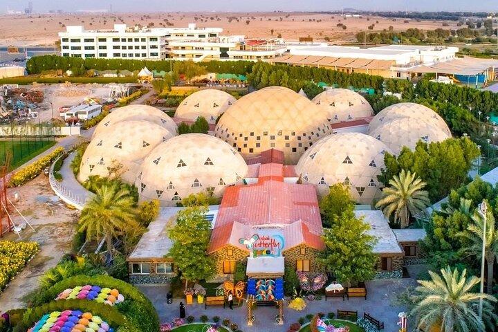 Dubai Butterfly Garden (Flucht in die Natur)