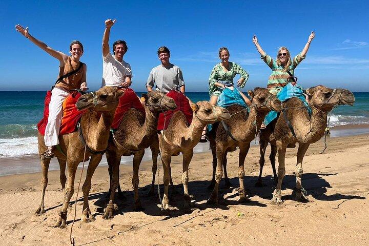 Luxury Private Tangier Tour with Ferry Ticket & Traditional Lunch