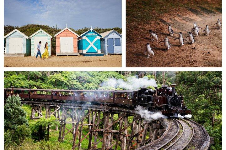 Brighton Bath Boxes & Puffing Billy & Penguin Parade 1 - Excursão de um dia