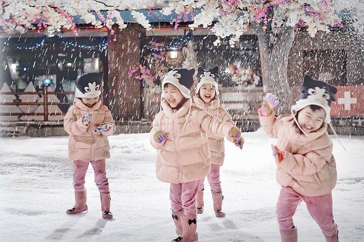 Bangkok Dream World & Snow Town Theme Park Adgangsbillet (SHA Plus)