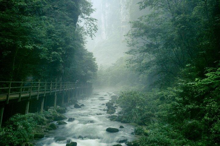 2 ganze Tage Zhangjiajie National Forest Park & Glass Bridge Tour