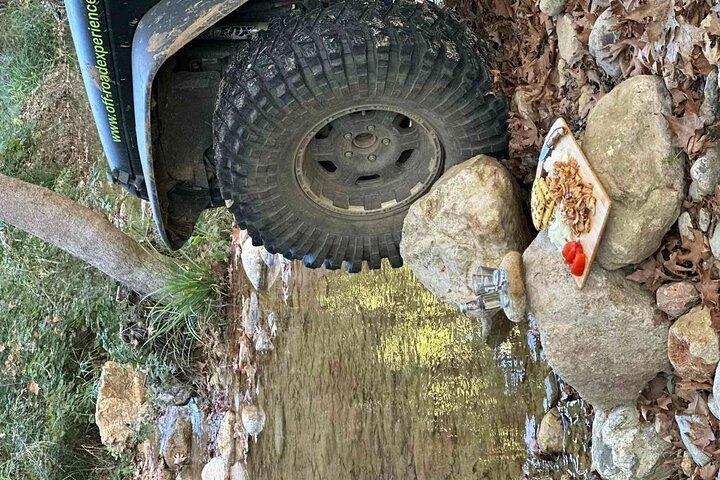 Visite en jeep et déjeuner dans la nature