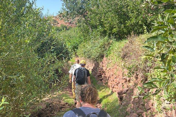 Montanhas do Atlas Vale de Imlil Passeio de um dia saindo de Marrakech