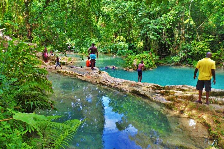 Dunn's River e Blue Hole con pranzo combinato da Montego Bay