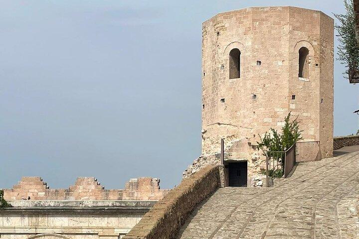 Tour Privato in E bike in Fascia Olivata Assisi Spello Foligno