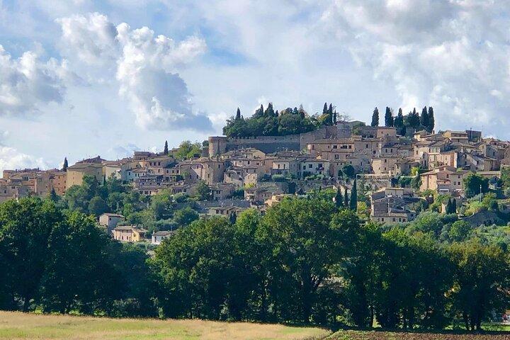 Tour Privato in E bike in Fascia Olivata Assisi Spello Foligno