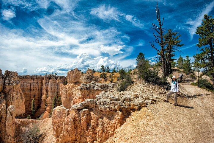 Erkunden Sie den Bryce Canyon: Private Ganztagestour ab Salt Lake City