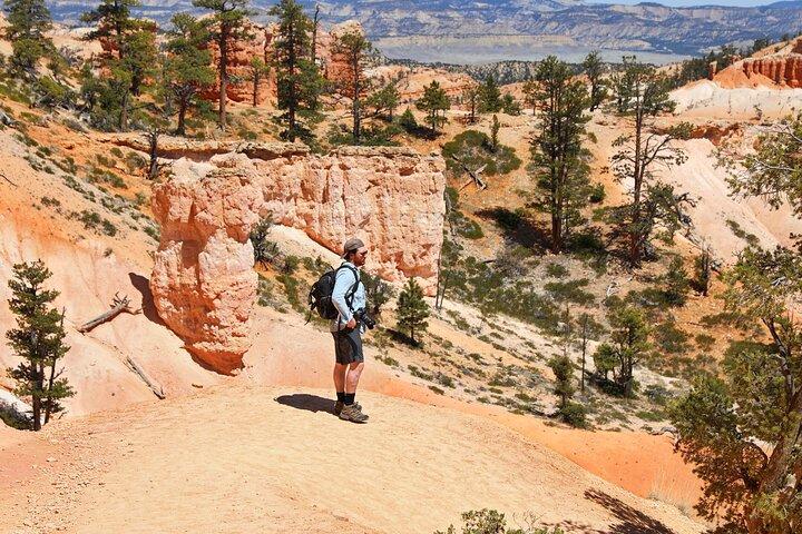 Erkunden Sie den Bryce Canyon: Private Ganztagestour ab Salt Lake City