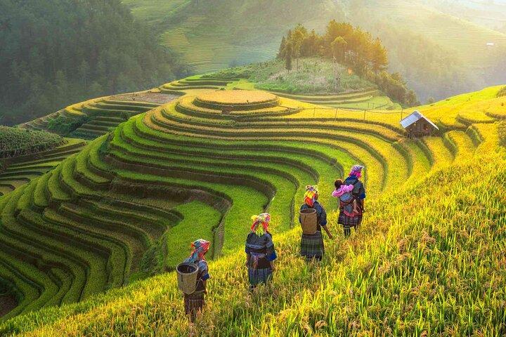 Sapa 2 días 1 noche desde Hanoi