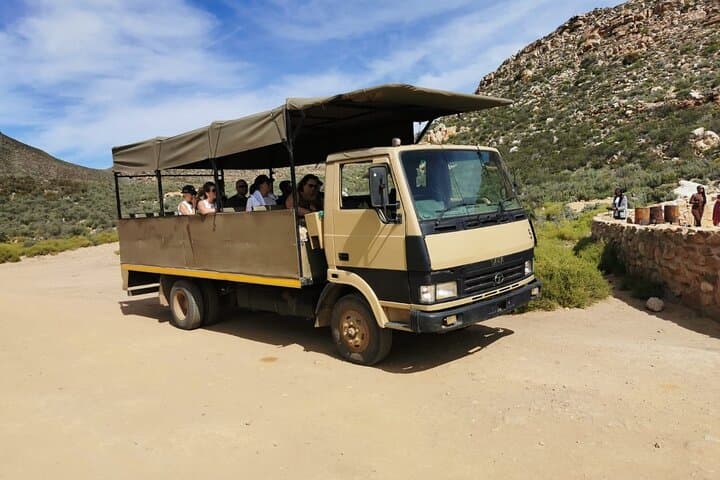 Aquila Big Five Safari Near Cape Town(with optional wine testing)