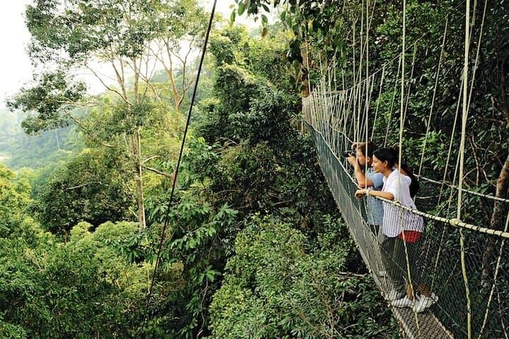 Taman Negara Day Tour from Kuala Lumpur