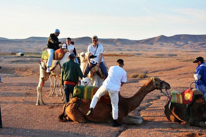 Esperienza con cena magica e giro in cammello al tramonto nel deserto di Marrakech
