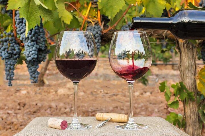 Nyd og nyd: Privat Yarra Valley Wine Tour fra Melbourne