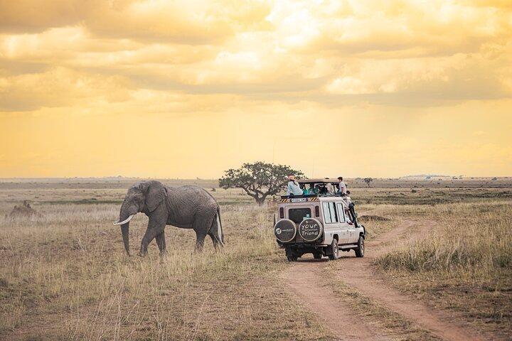 Tanzania Classic - 7 Dage