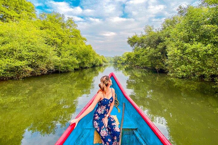 Experiencia de día completo en Chorao Island Naturaleza, Patrimonio y Cocina