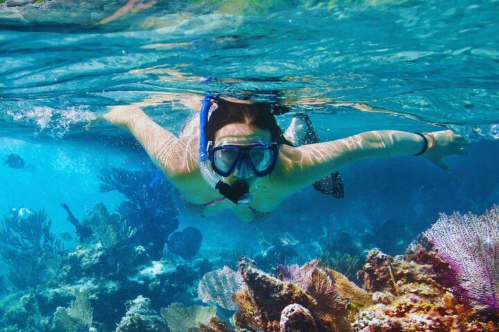 Amalfikusten Snorkling och Limoncello provning: 4h båttur