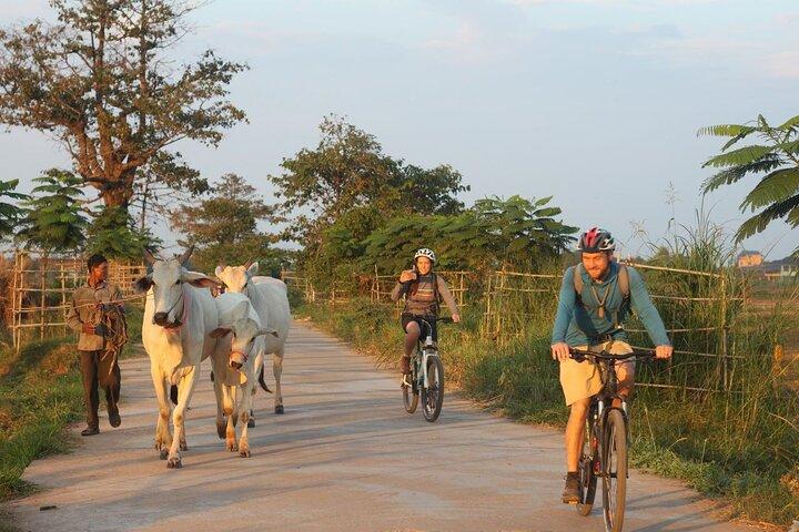 Silk Island tijdens Twilight Cycle Encounter