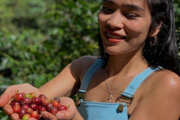 Coffee Lovers Farm und Rösttour