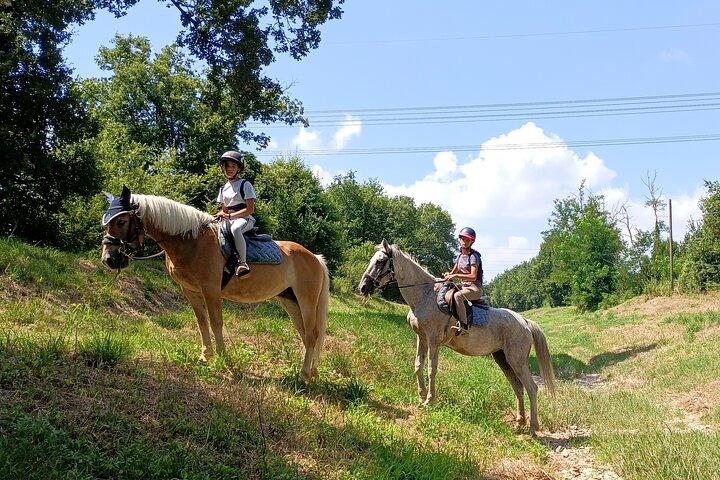 Paseo a caballo de 1 hora en Valgraziosa Pisa