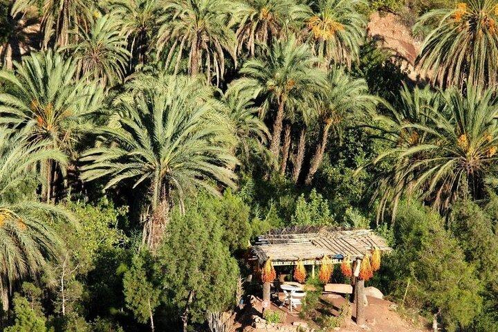 Agadir Adventure : Paradise Valley, Cascate di Imouzzer