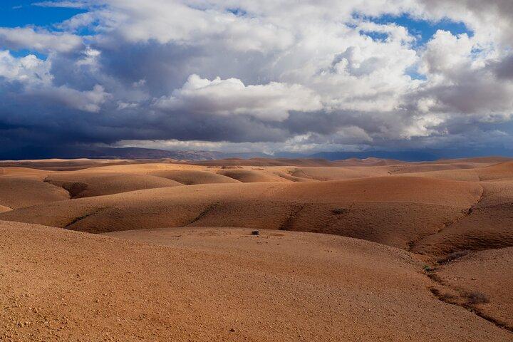 Camel Ride and Dinner in the Agafay Desert with Transportation