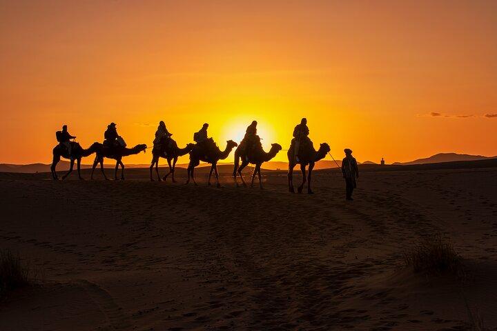Camel Ride and Dinner in the Agafay Desert with Transportation